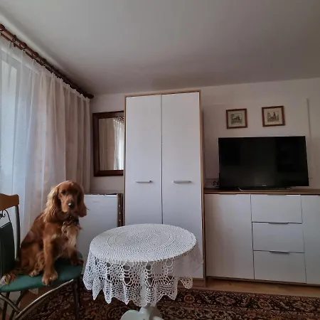 Wojciechowka