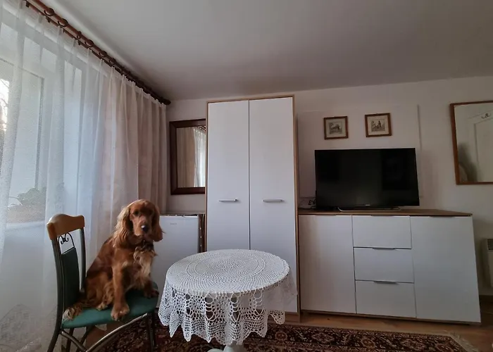 Wojciechowka